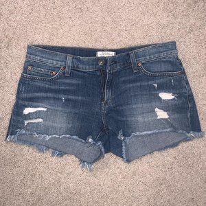 Distressed/Frayed Denim Shorts (Size 29) Designer
